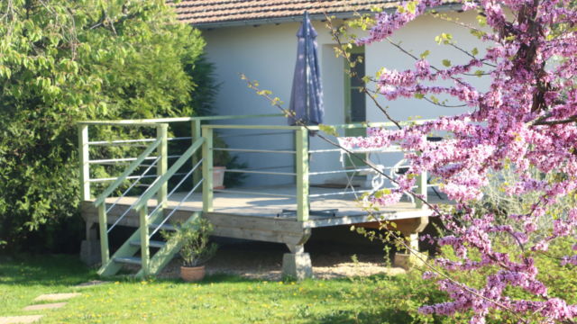 Chambre d’hôtes avec l'arbre de judée